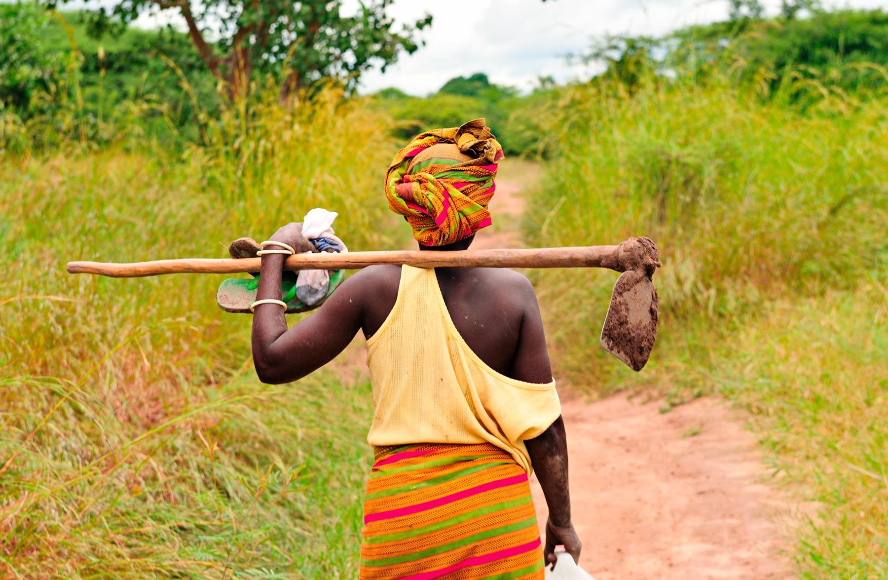 Your Virtual Cold Chain Assistant Nigeria